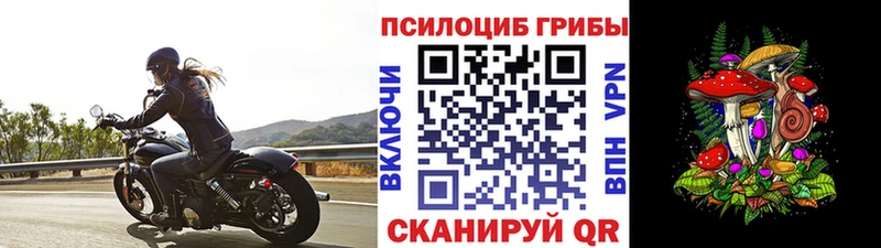 Галлюциногенные грибы ЛСД  Светлогорск 