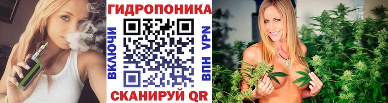 дарк нет наркотические препараты  Светлогорск  Канабис Amnesia  кракен  